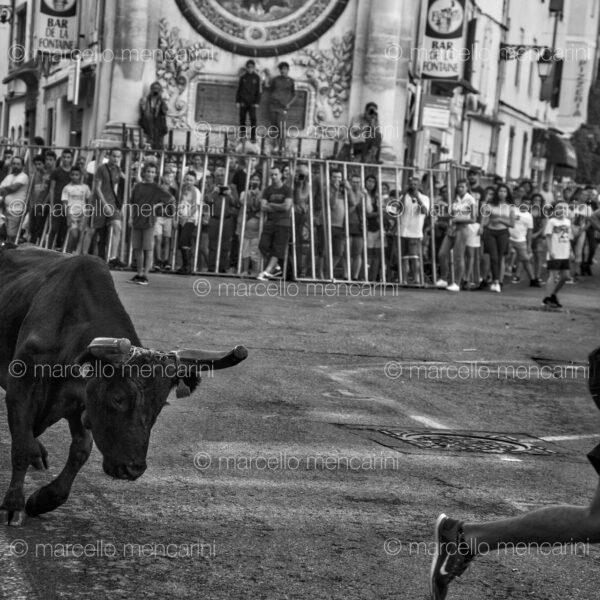 Arles Feria